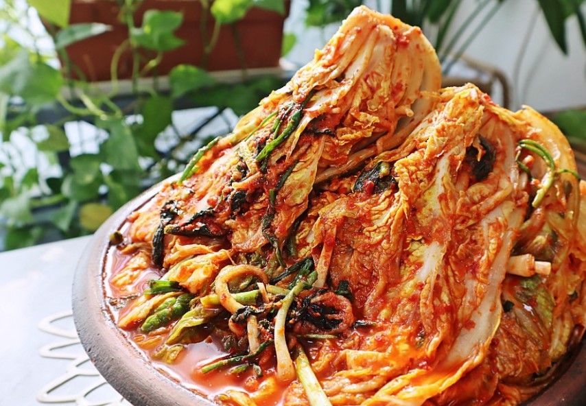 배추 김치 오클랜드 한국반찬 Cooktop